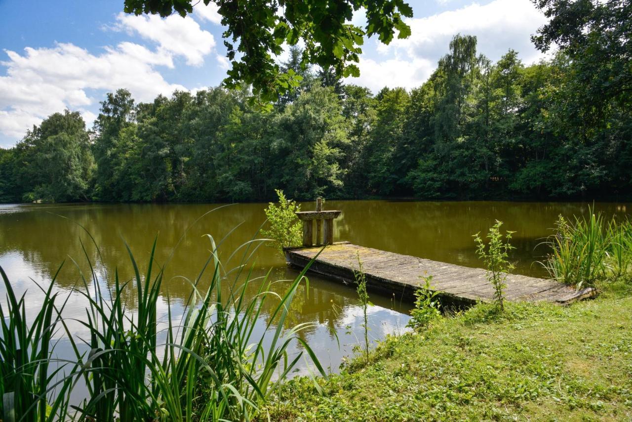 La Genetiere - Grande Maison Avec Etang En Sologne Mery-es-Bois 외부 사진